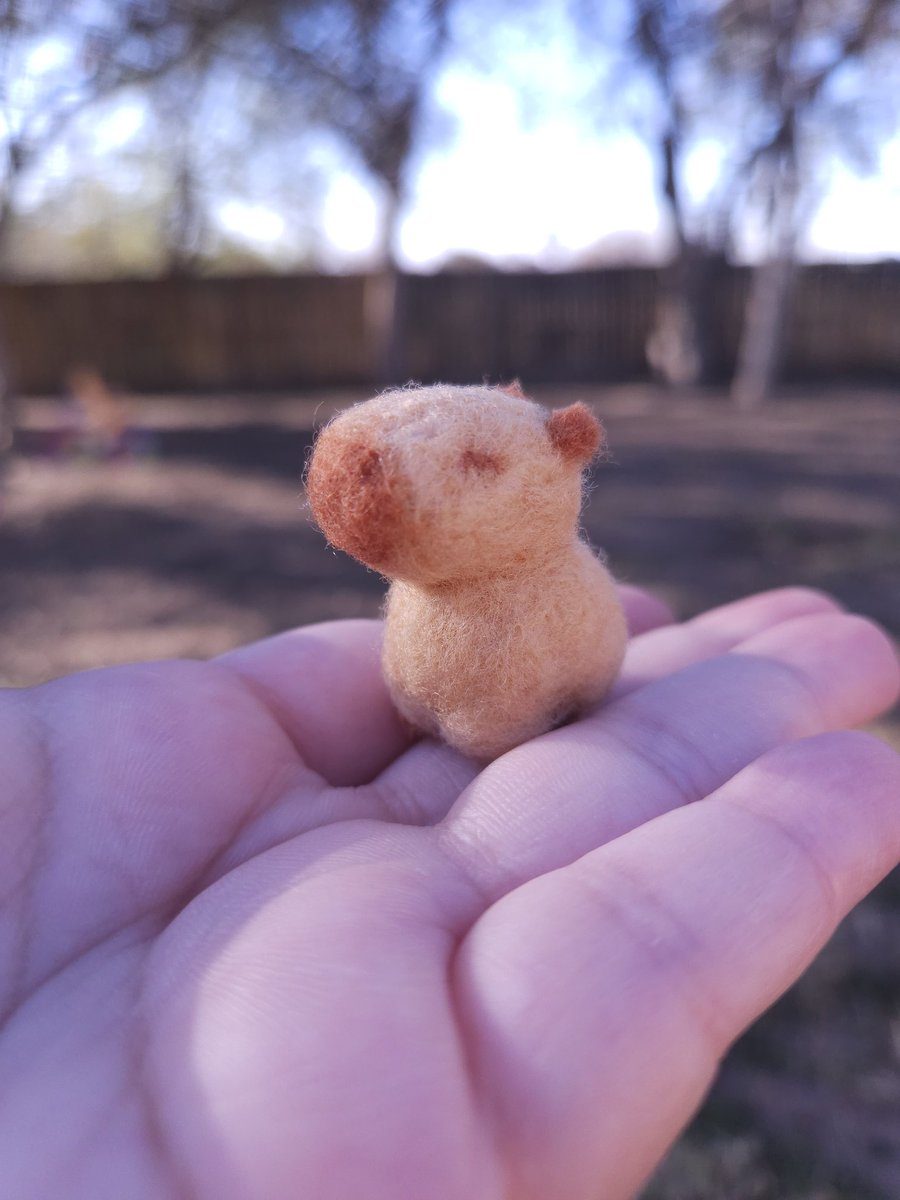 sockettumi's tweet photo. a tiny capybara, done in needlefelt for a friend 🧡 

// #needlefelt #capybara #handmade #fiberart https://t.co/wDA0Ov9Z2n