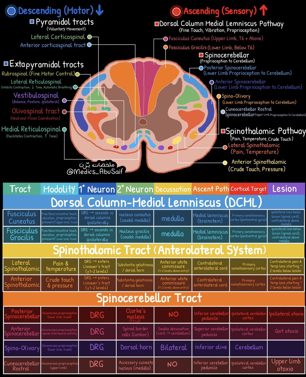 يـزّن الغماس tweet media