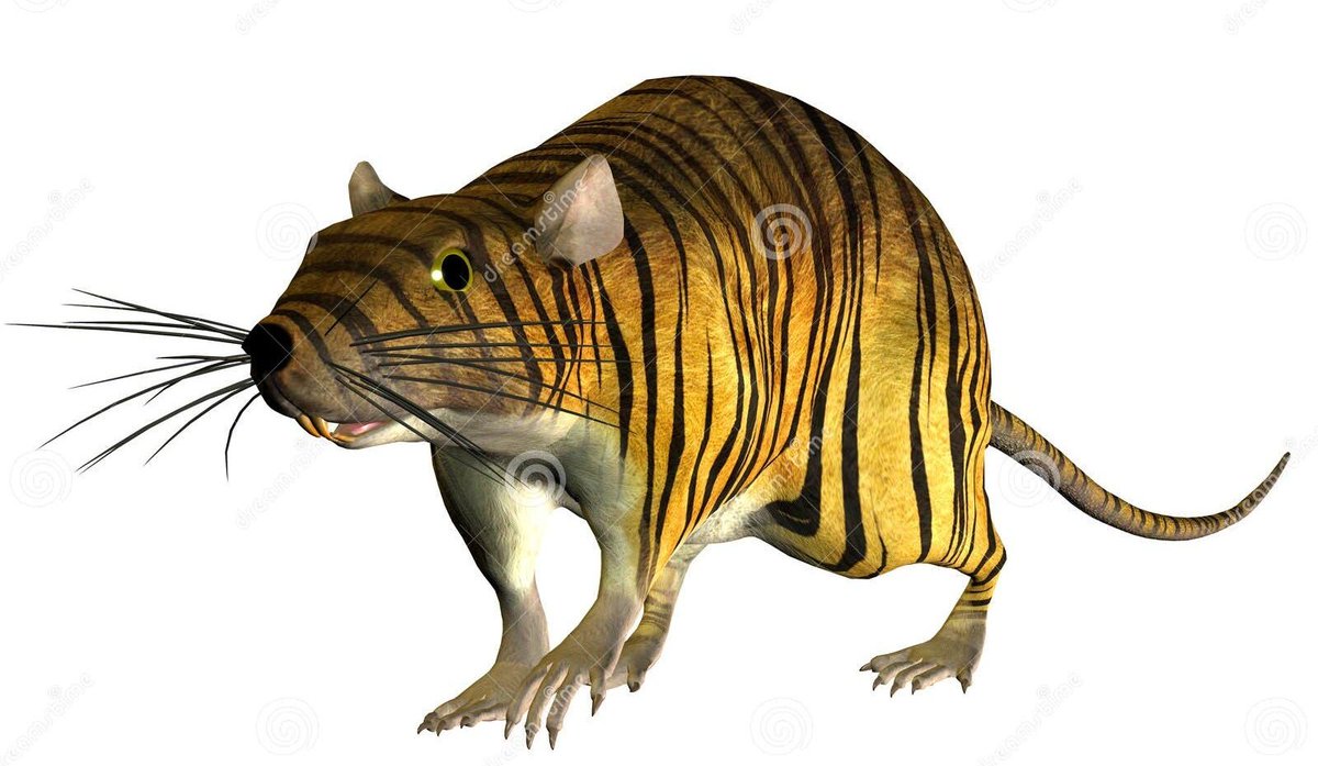 El tigre que le robó 5000 millones a David Murcia y le metió casi 4 millones de firmas chimbas a la registraduría.