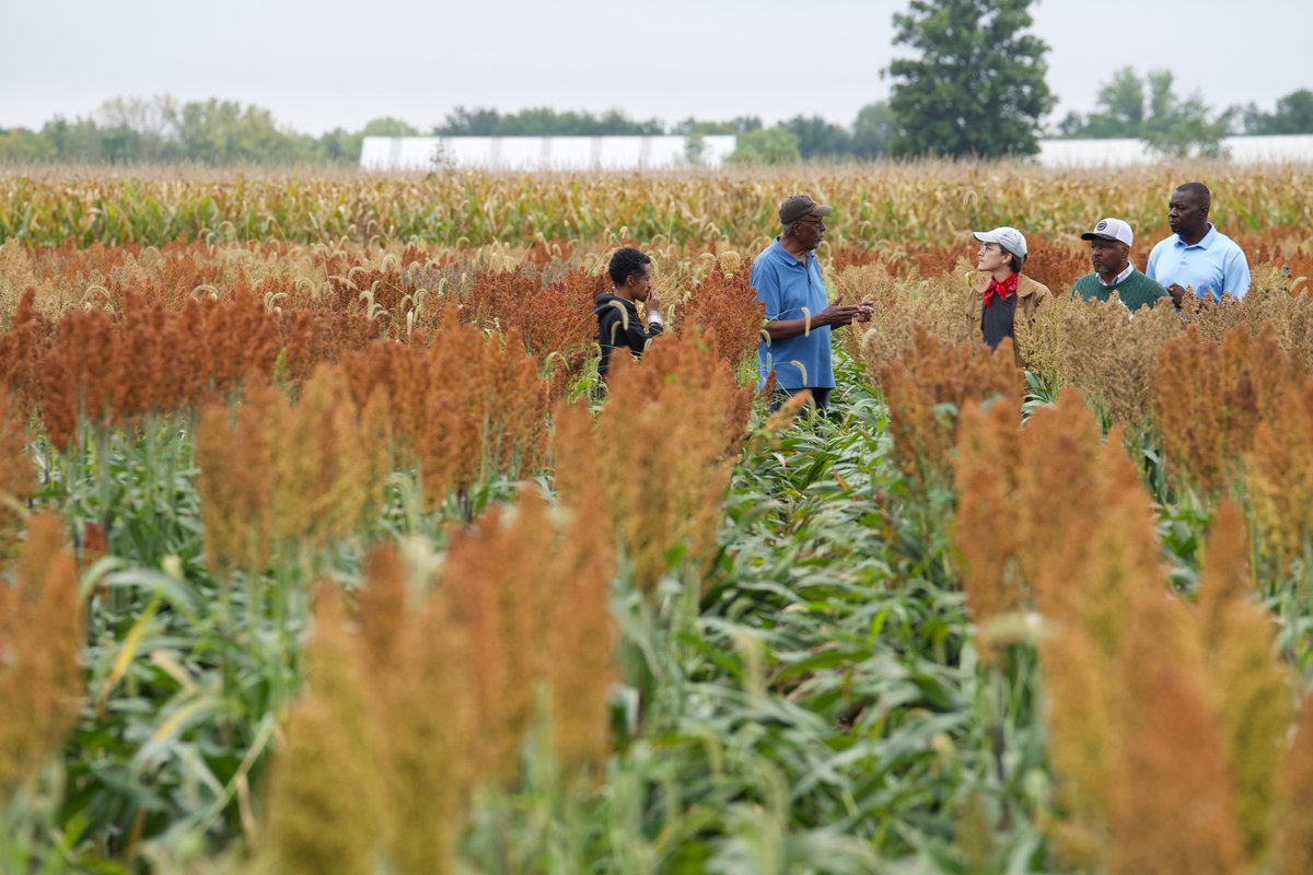 Purdue Agriculture tweet media