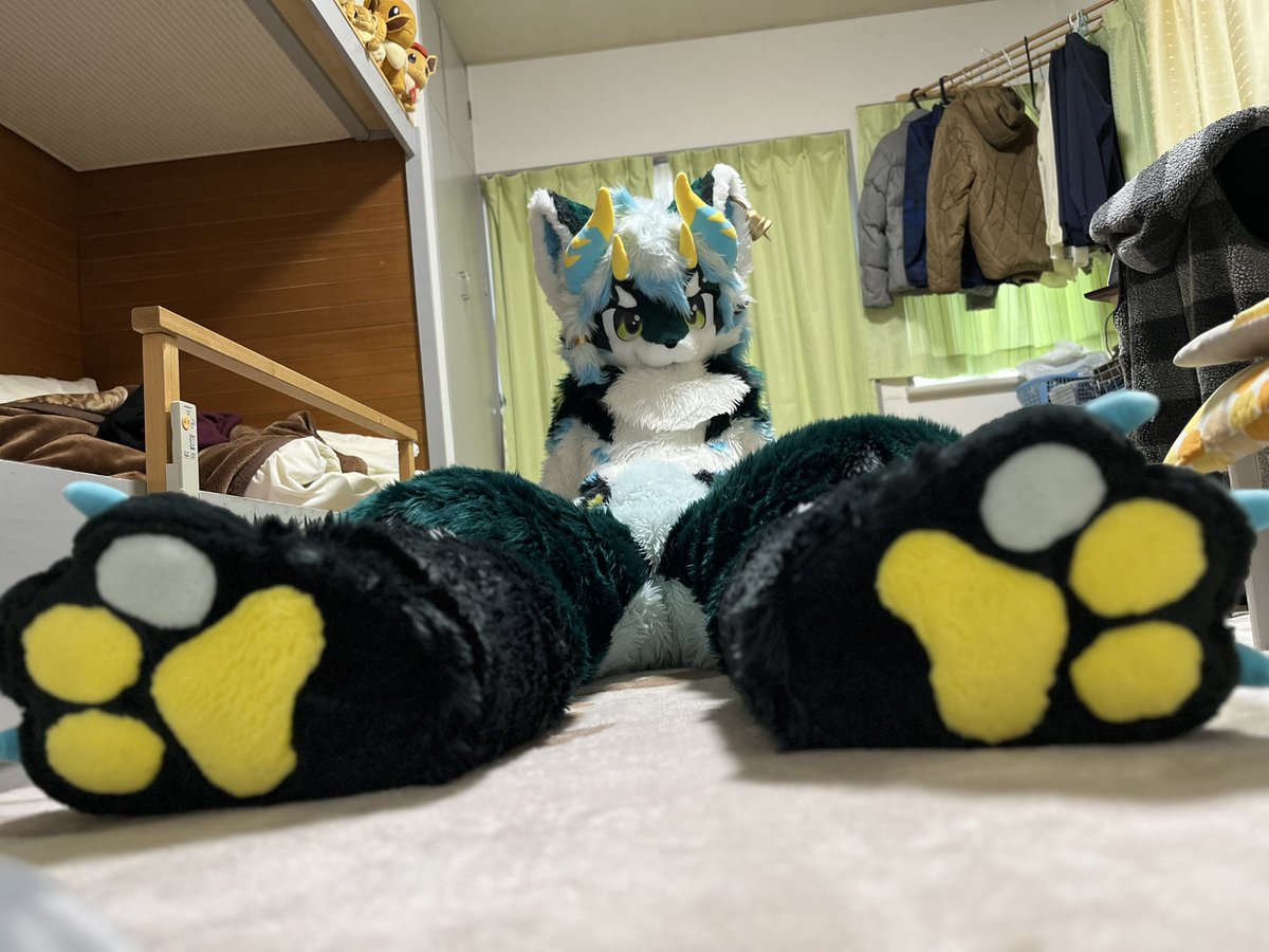 なにーーーーーー？？
#FursuitEveryday 
#鸿萌造物
#furmony