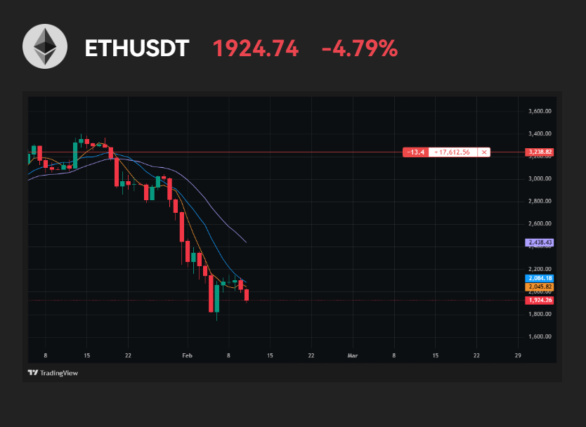 Duce 💯 | Your Average Crypto Guy tweet media