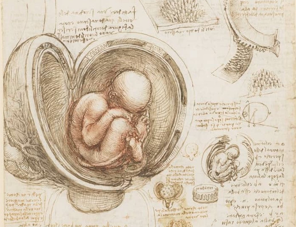 Alfonso Martinez Arias tweet media