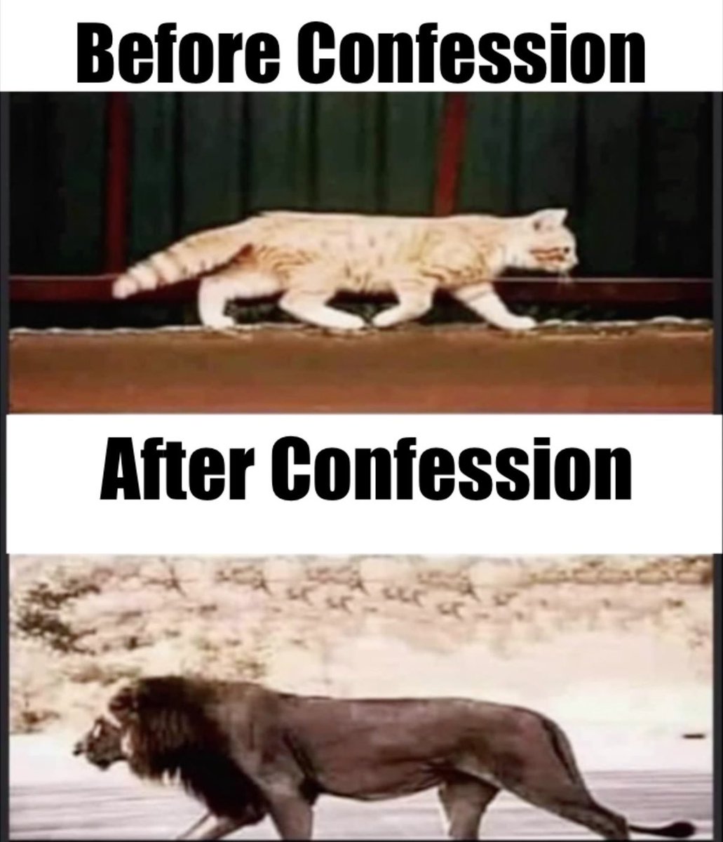 Go to Confession.