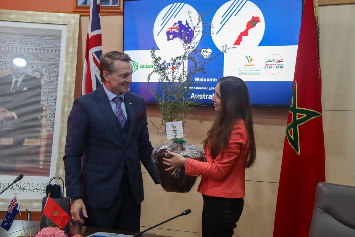 INRA Maroc tweet media