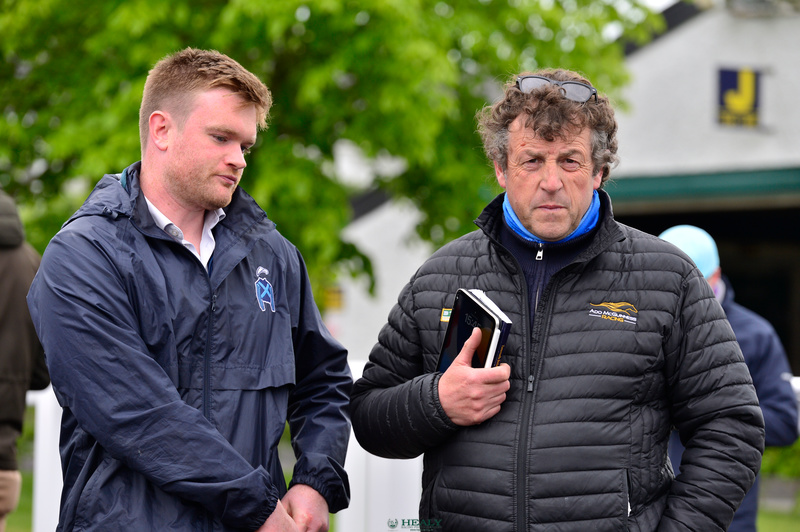 Tattersalls Ireland tweet media