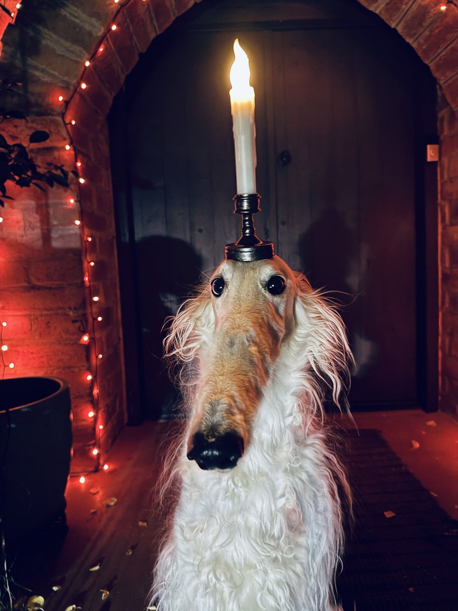 EsperBorzoi's tweet image. All conscious thought must pass through the candle