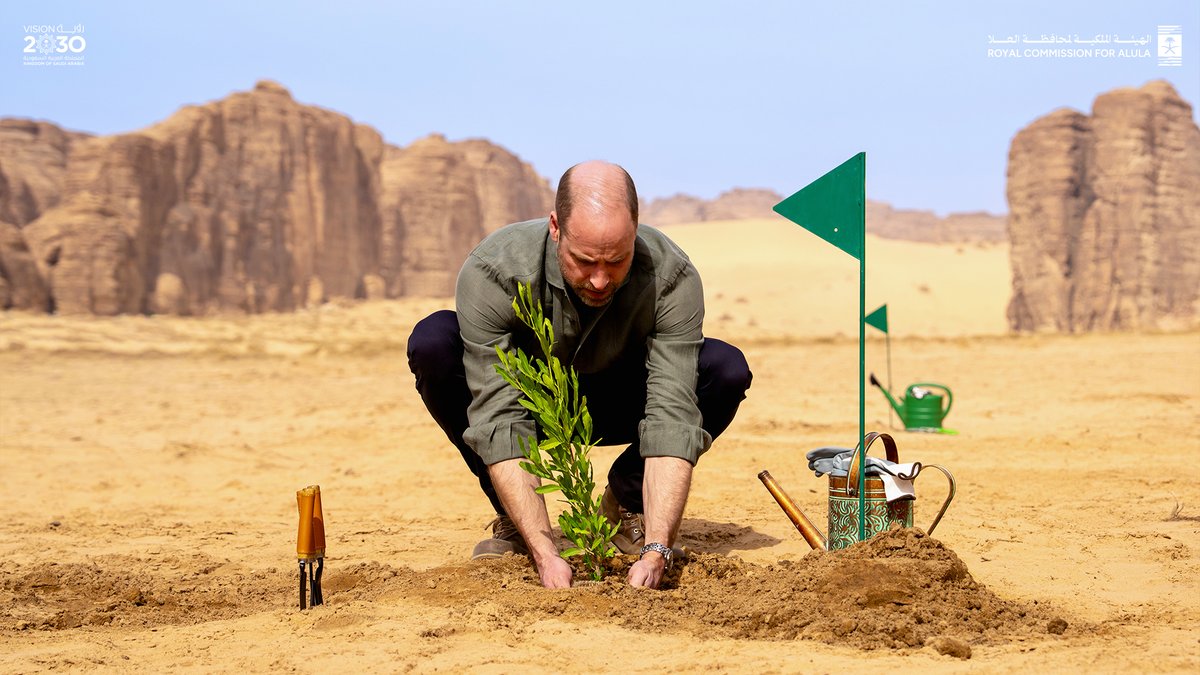 الهيئة الملكية لمحافظة العلا tweet media