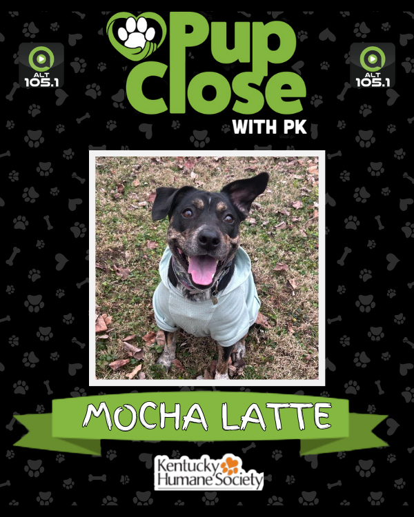 ALT 105.1 📻 tweet media