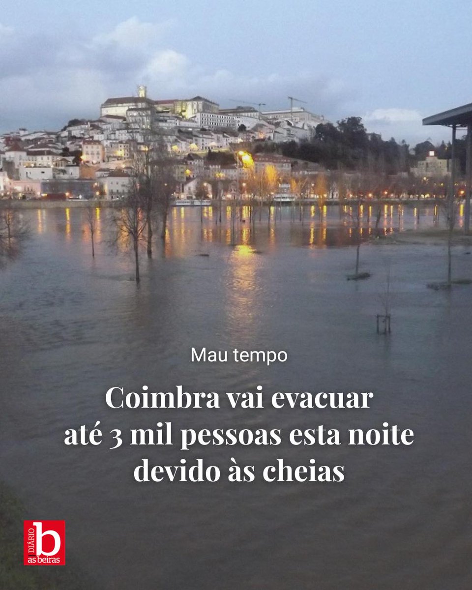 Inês Sousa Real tweet media