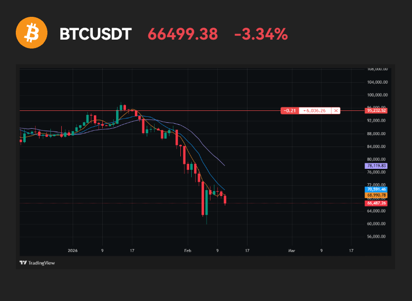 Duce 💯 | Your Average Crypto Guy tweet media