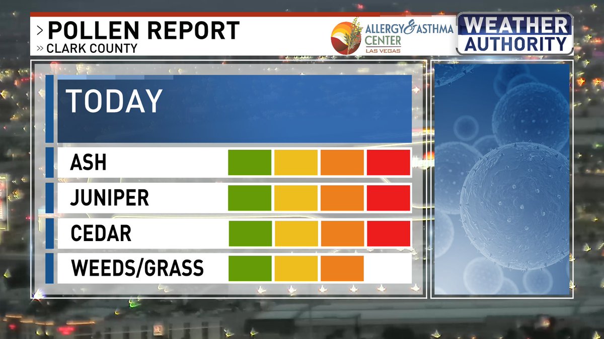 ChloeKoast's tweet image. YIKES! Pollen levels have spiked! We have 'high' levels of tree and weed pollen and 'moderate' levels of grass pollen. The most common pollens right now in the valley are ash, juniper, cedar, sycamore, alder, palm, willow, nettle, and ragweed. #Pollen #LasVegas #Allergies