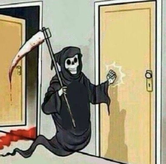 veehrdadeiro's tweet image. vem jonas