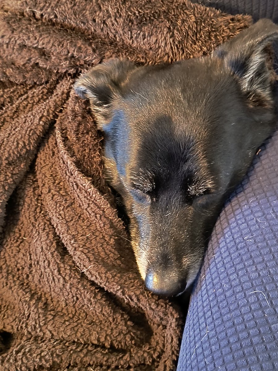 Mike is nog in winterslaap..