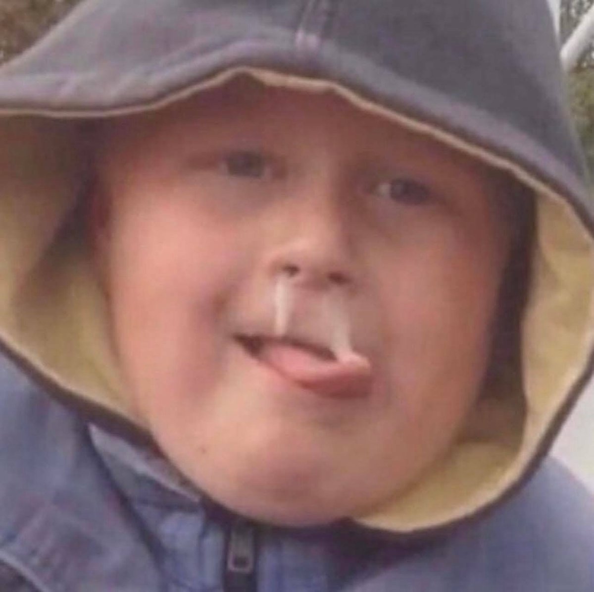 Andrew Dunne tweet media