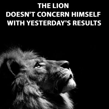 haaladeen tweet media