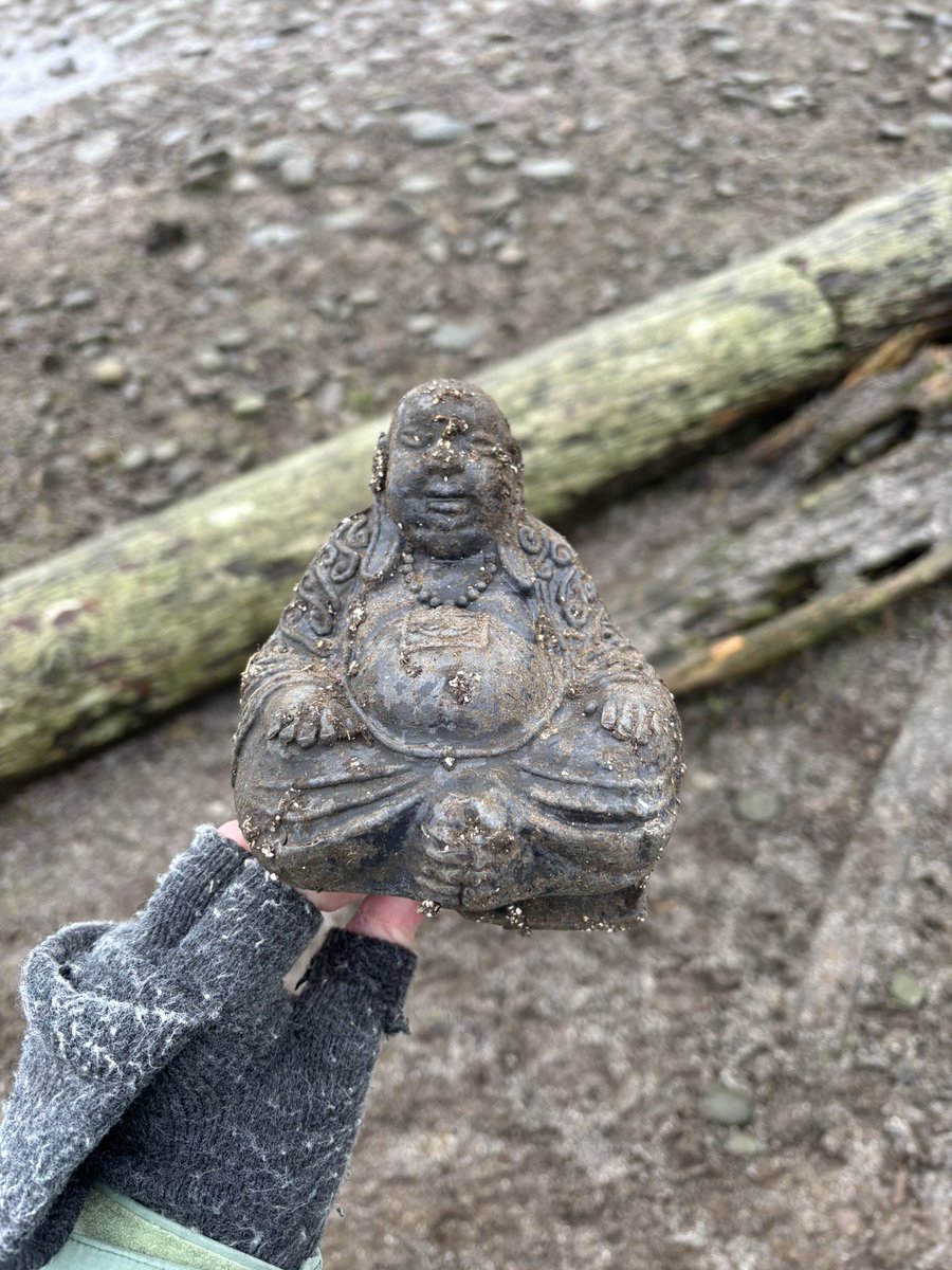 Maddy Hine tweet media