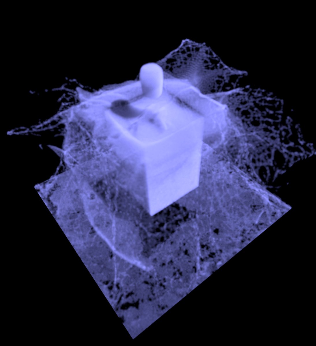 Ruslan60748652's tweet photo. Atomic FLIP in Unity (custom fluid solver) Test:
500 000 particles
256x256x256 grid
Pressure iteration = 100
SubSteps = 5
#FluidSim #Unity3D #RealtimeVFX #GPGPU https://t.co/PeOjWtklYA