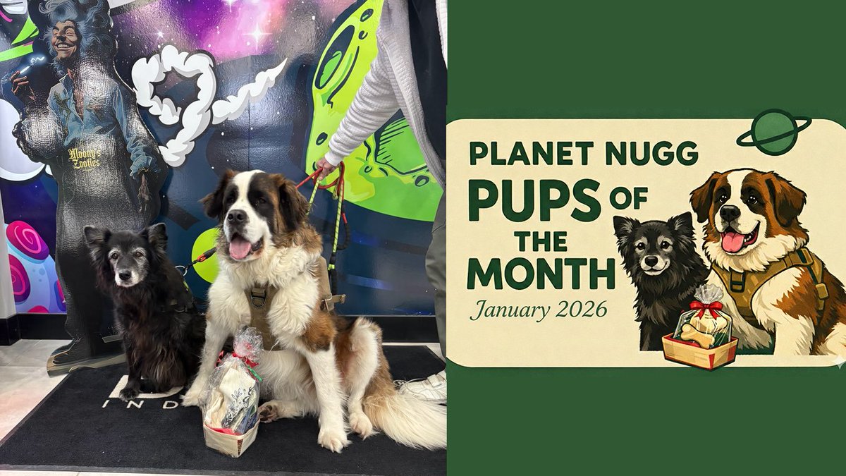 PlanetNugg tweet media