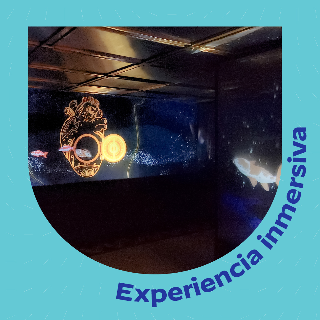 Este taller invita a reflexionar sobre cómo elegimos, comparamos y priorizamos en la vida diaria. Desde el súper hasta en casa. Una experiencia para observar los mecanismos que guían nuestras decisiones hasta que te cae el veinte.

15 de febrero, 12:00 horas
#MuseoBancoDeMéxico