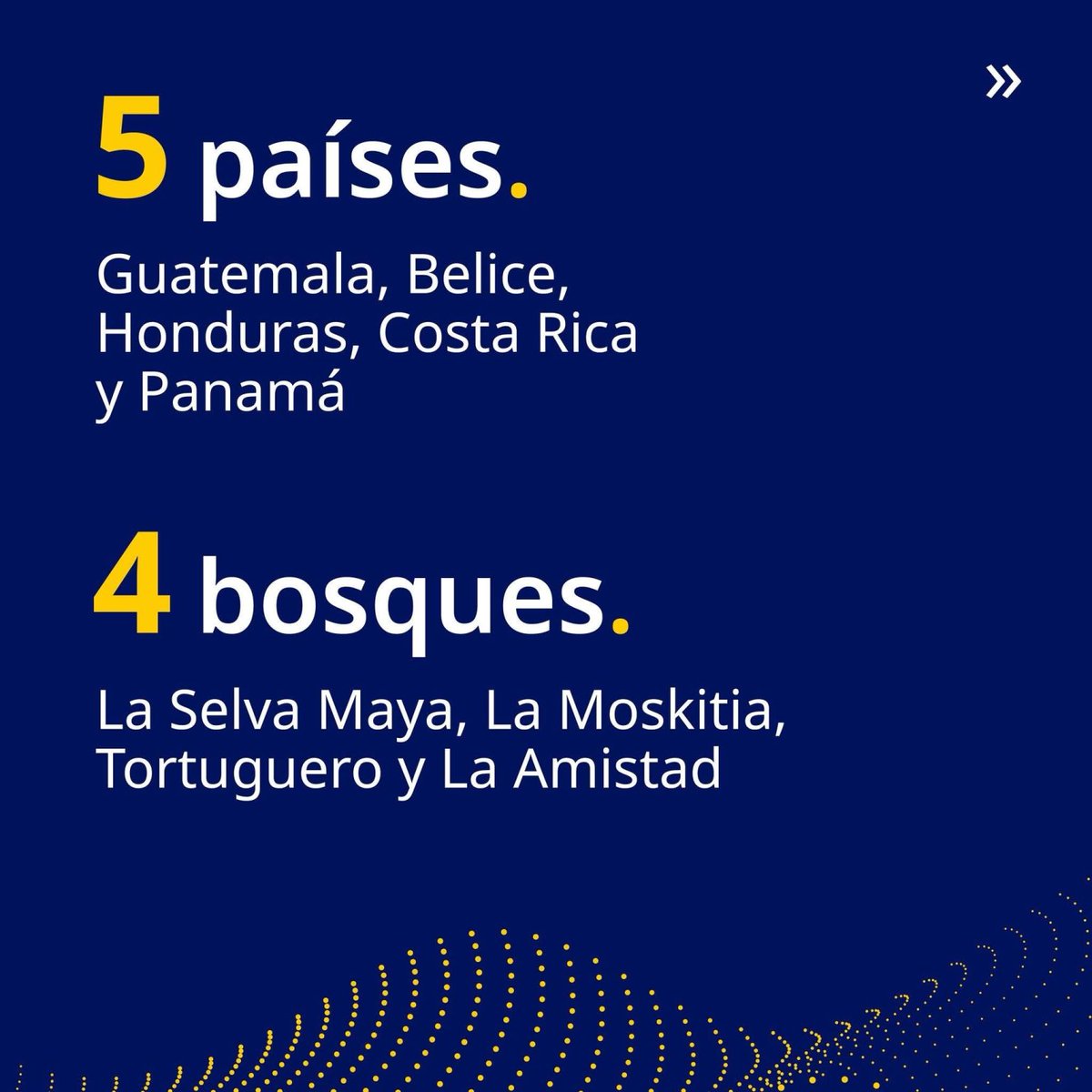 UEenHonduras's tweet photo. 🚨 𝗖𝗢𝗡𝗩𝗢𝗖𝗔𝗧𝗢𝗥𝗜𝗔 𝗗𝗘 𝗣𝗥𝗢𝗬𝗘𝗖𝗧𝗢𝗦 
 Programa Grandes #BosquesdeMesoamérica  
 𝙕𝙤𝙣𝙖𝙨 𝙥𝙧𝙞𝙤𝙧𝙞𝙩𝙖𝙧𝙞𝙖𝙨:
🌳La Mosquitia (Honduras)
🌳 Selva Maya (Belice–Guatemala
🌳Tortuguero (Costa Rica)
🌳La Amistad (Costa Rica–Panamá)
 https://t.co/5DHyrkTldY https://t.co/FR0CB53daC