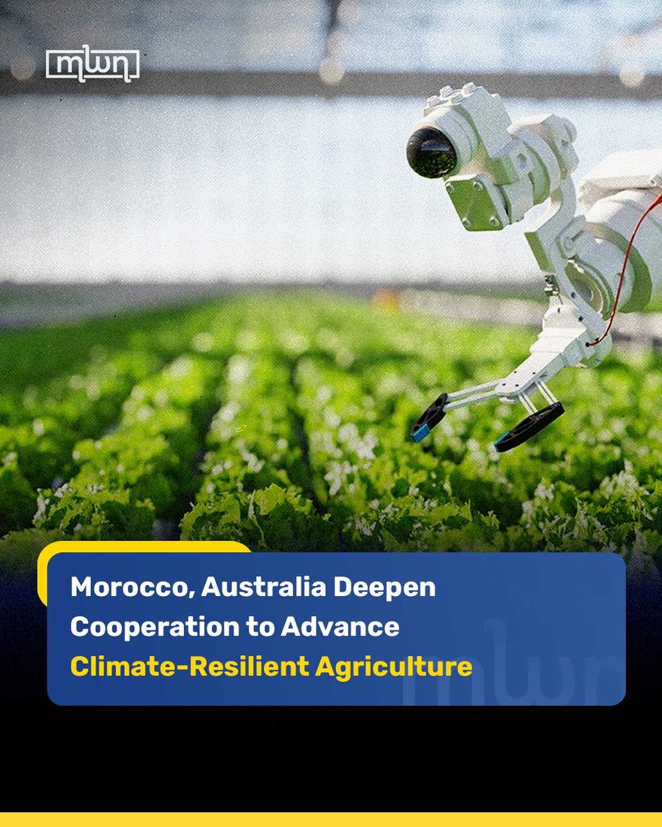 MoroccoWNews's tweet image. Morocco’s #INRA and Australia’s #ACIAR signed an #MoU to expand joint research on sustainable and climate‑resilient #Agriculture, strengthening scientific cooperation to tackle shared #environmental challenges and support climate‑smart farming.

Read more: clic.ke/TRgii6