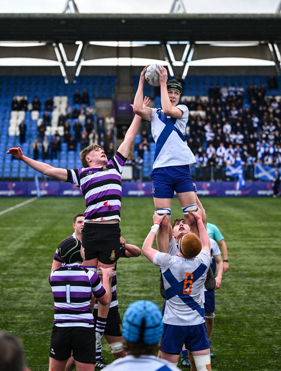 Leinster Domestic tweet media