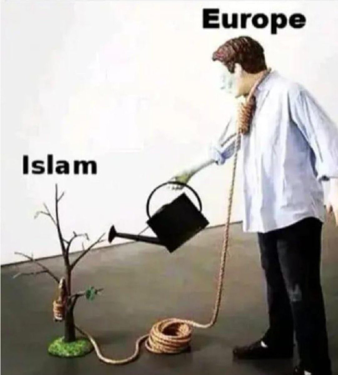 RegalCartoon tweet media