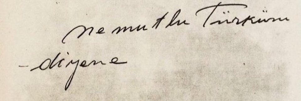 Bürküt. (@hurriyetulan) on Twitter photo 