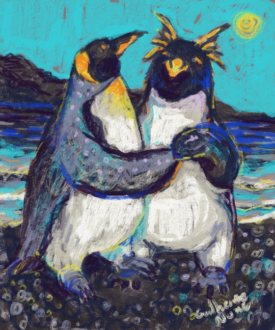 penguins dancing forro