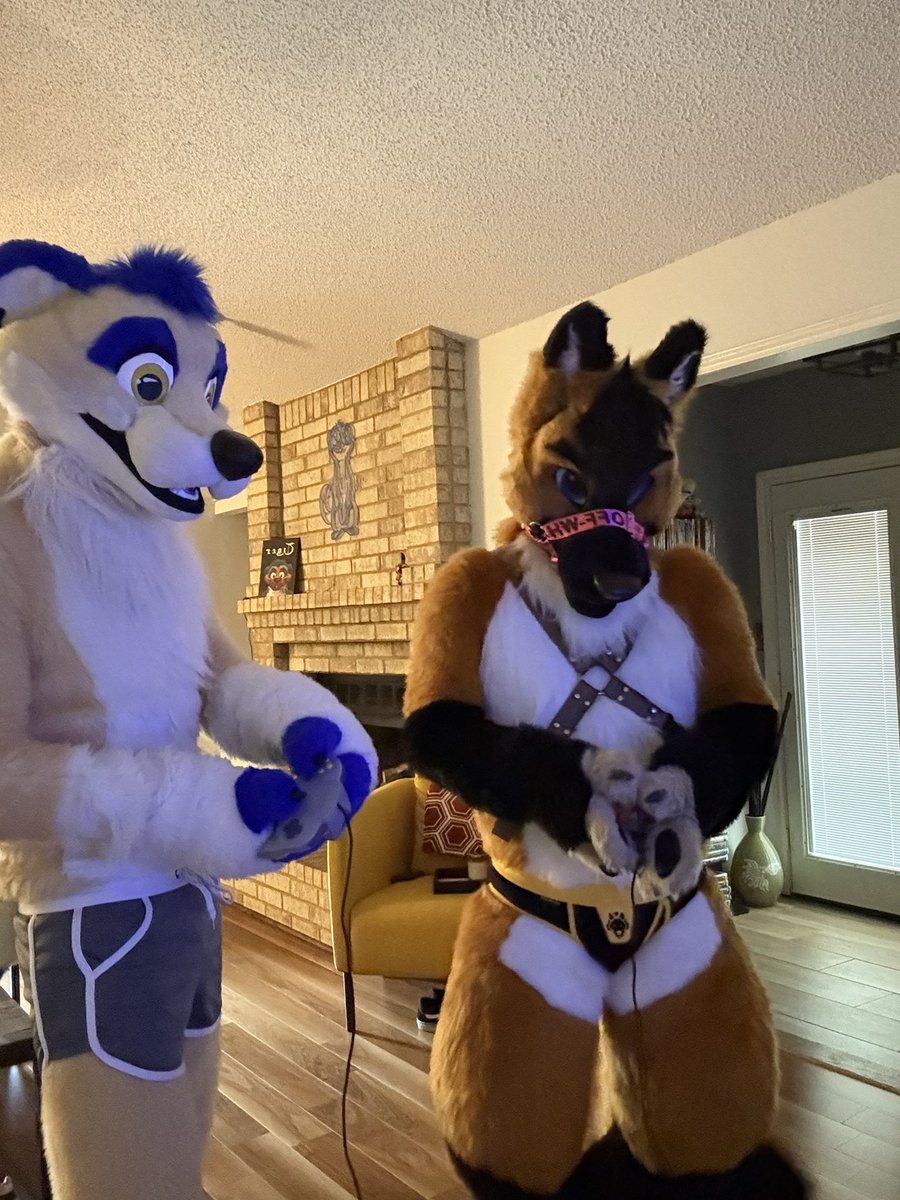 Apollo Shinn @MFF 26 tweet media