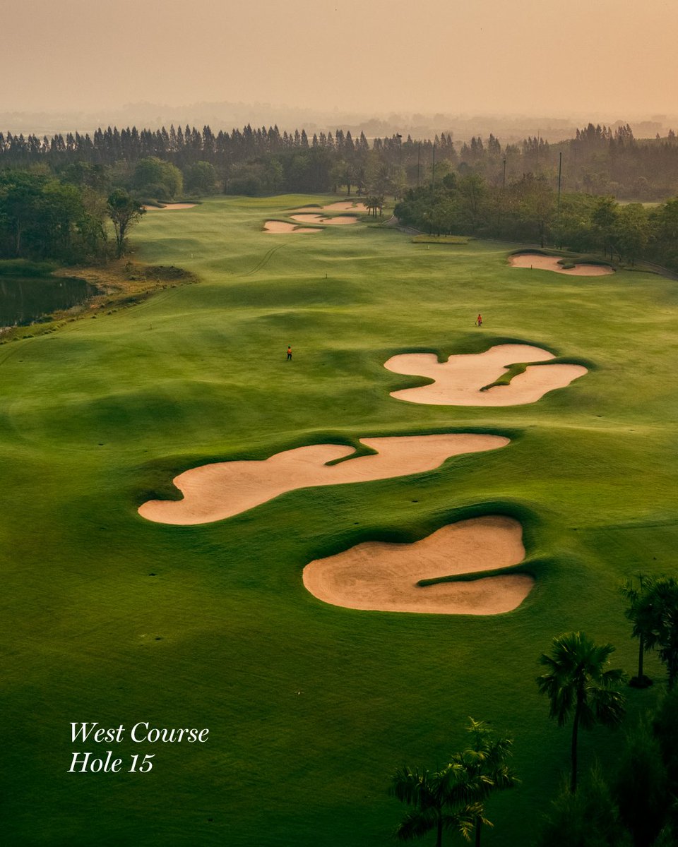 Faldo Design tweet media