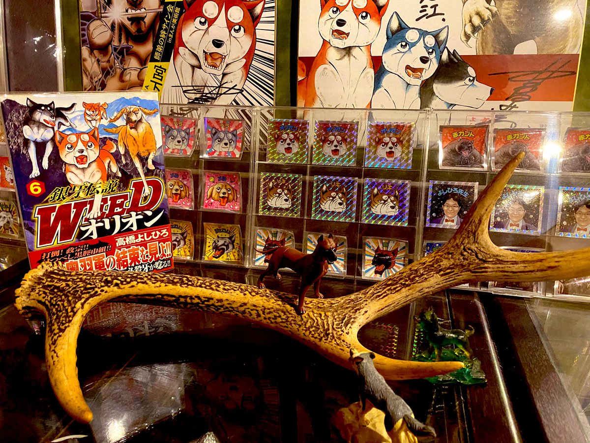 🌌高橋よしひろ先生新連載🌌銀牙伝説レクイエム🌌 (@katukatu210