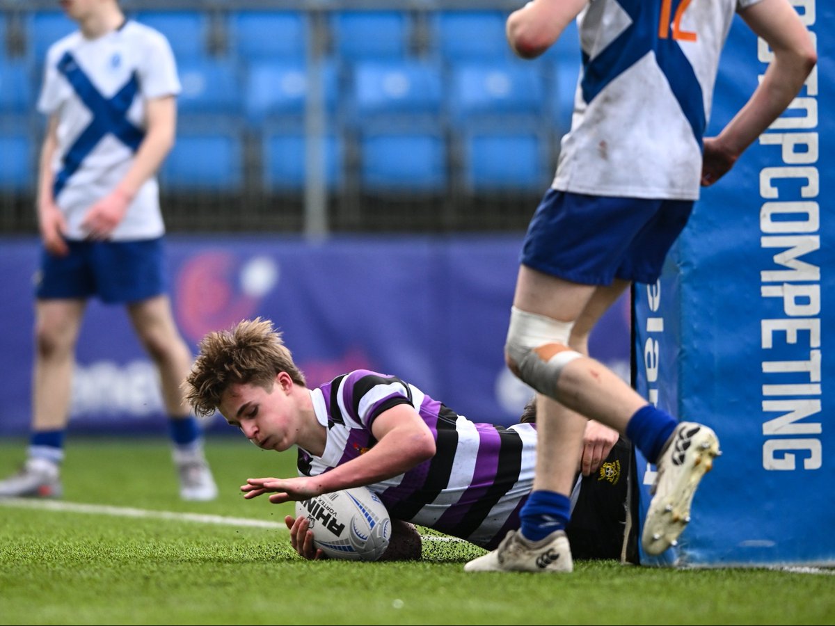 Leinster Domestic tweet media