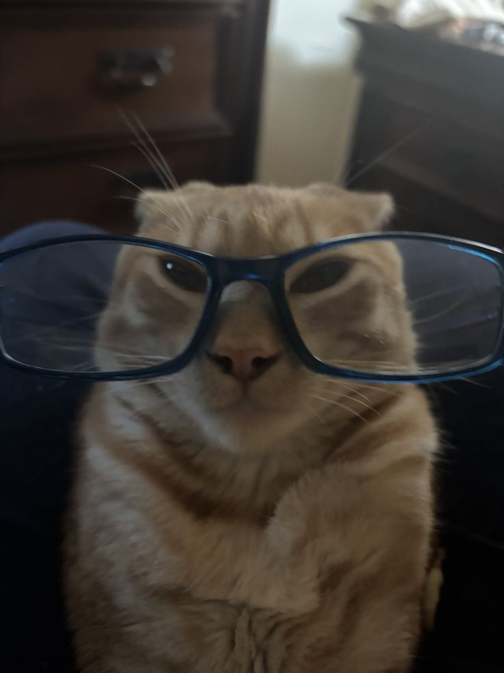 vx-underground tweet media