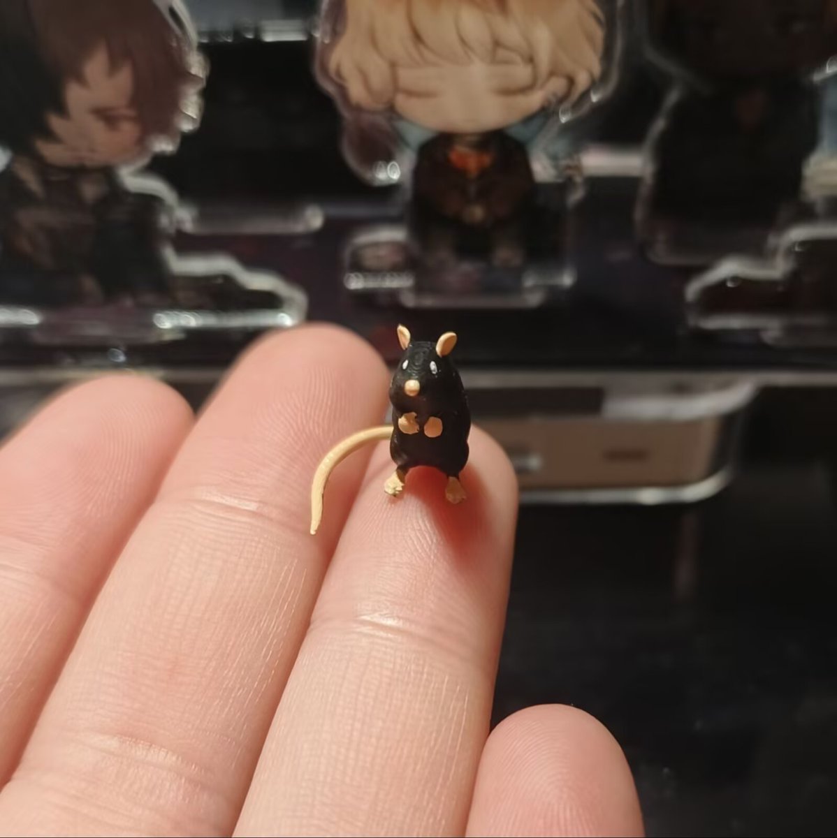 🐁❤️老鼠大王❤️🐀 tweet media