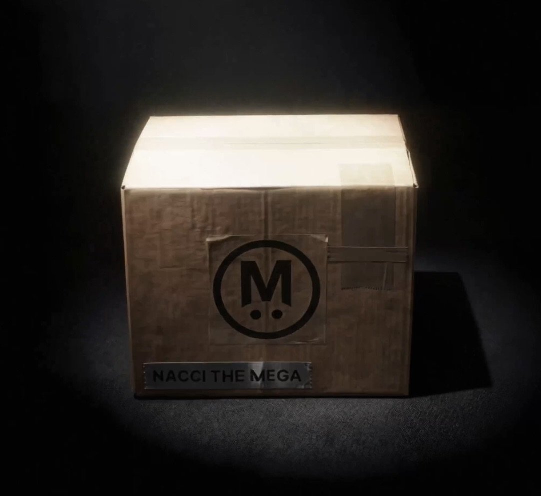 Just minted my <a href="/meganacci/">meganacci | ∑:</a> !! 

Huge thanks to <a href="/fimmonaci/">fimmonaci</a> and the team for making this happen . I'm glad to be part of the Nacci Cartel now.