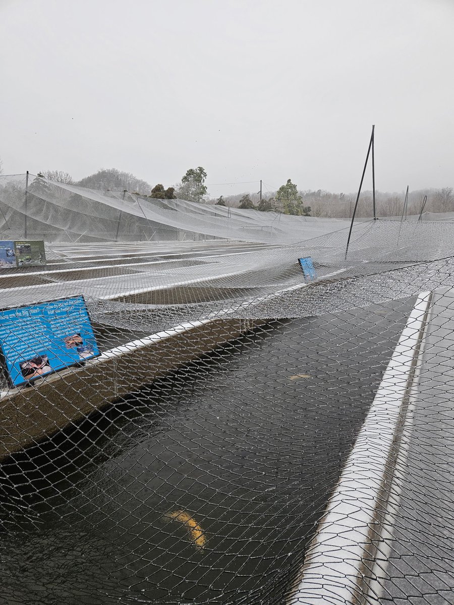 Kentucky Afield Magazine tweet media