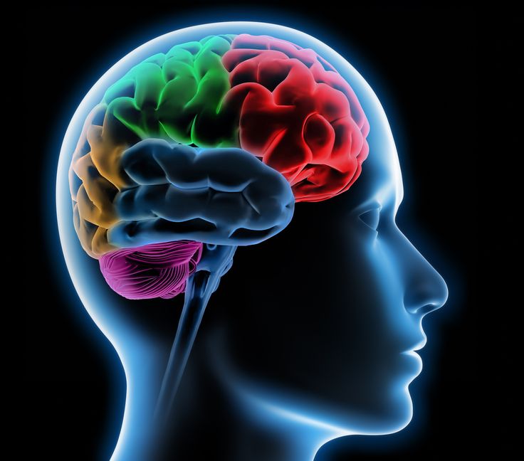 Lili_Tan1340's tweet photo. Every brain tells a story. As neurosurgeons, we are dedicated to deciphering those narratives, pioneering innovative solutions, and providing hope for a healthier future. Together, we navigate the intricate pathways of the mind. 

#Neurosurgery #BrainAwareness #HealthcareHeroes https://t.co/uUxED18qcH