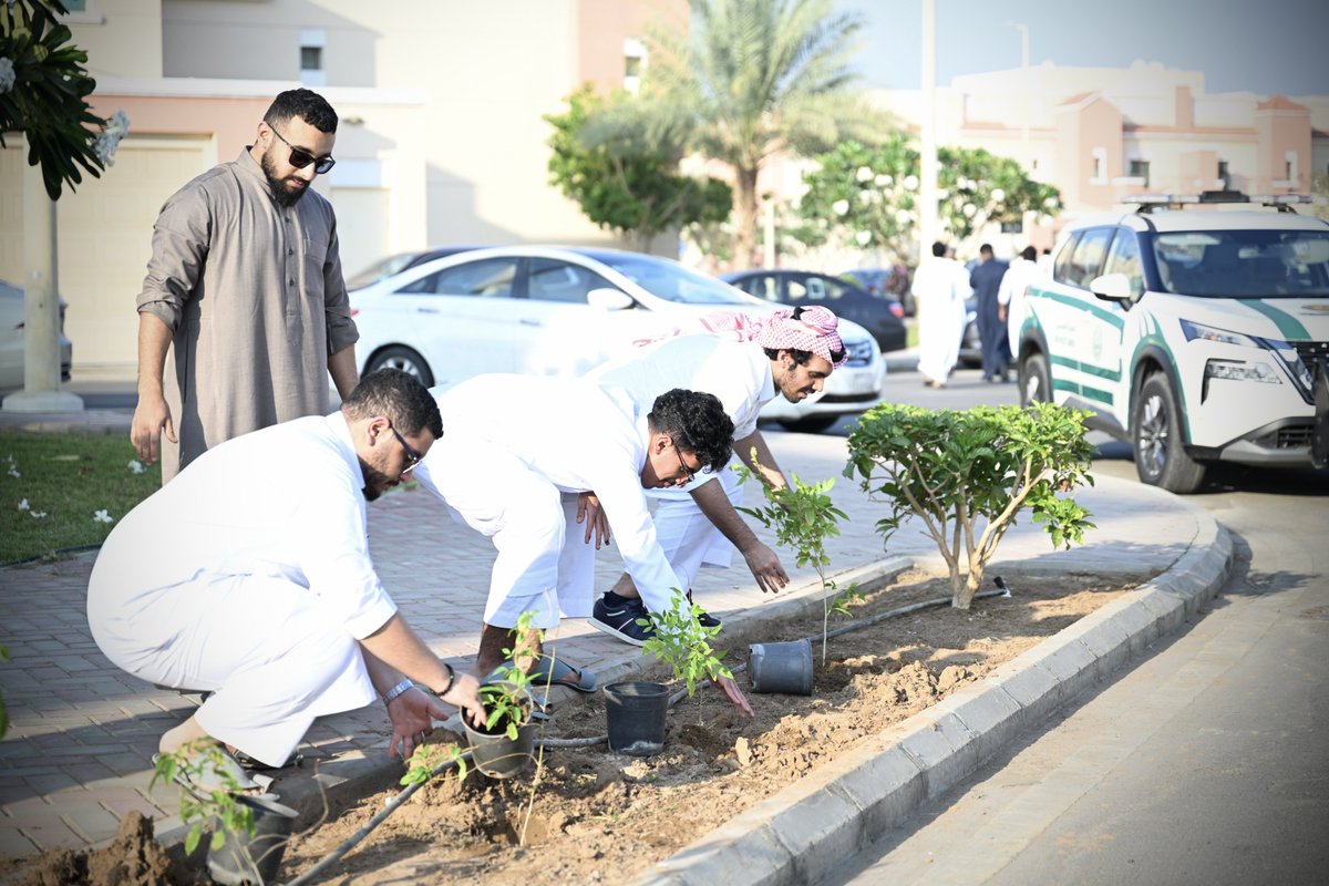 kauedu_sa's tweet photo. أقامت #جامعة_الملك_عبدالعزيز مبادرة التشجير “يد تغرس وأرض تزدهر 2”، قام خلالها 250 متطوعًا بزراعة 100 شتلة في السكن الجامعي لأعضاء هيئة التدريس، ضمن مبادرة السعودية الخضراء، تعزيزًا للاستدامة البيئية وجودة الحياة، وبمشاركة منسوبي الجامعة وأفراد المجتمع.
#السعودية_الخضراء
#التنمية_المستدانة
#جودة_الحياة
 #العمل_التطوعي