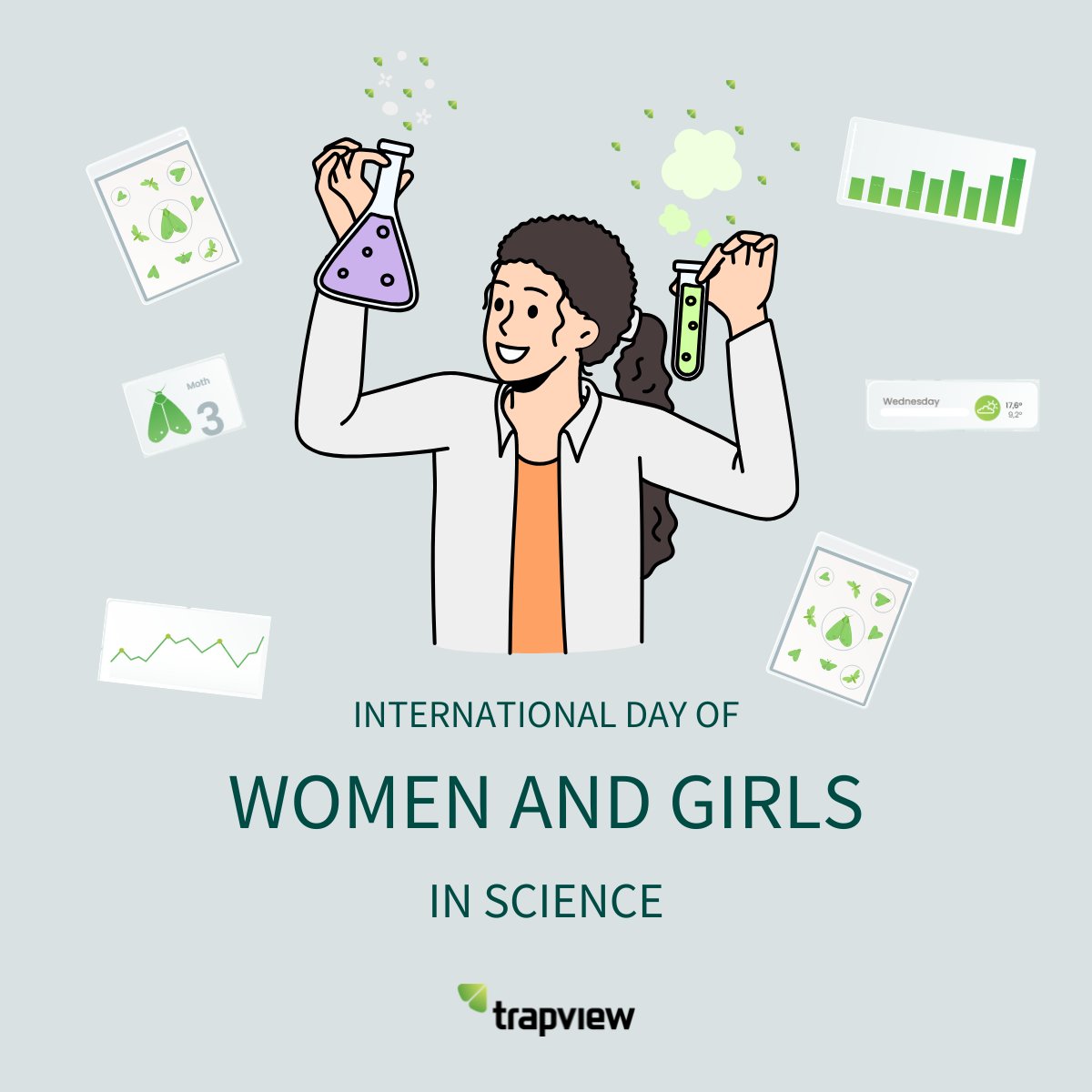 Trapview tweet media