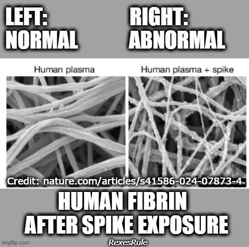 RexesRule ⚓USN ⚓😺 🦝 tweet media