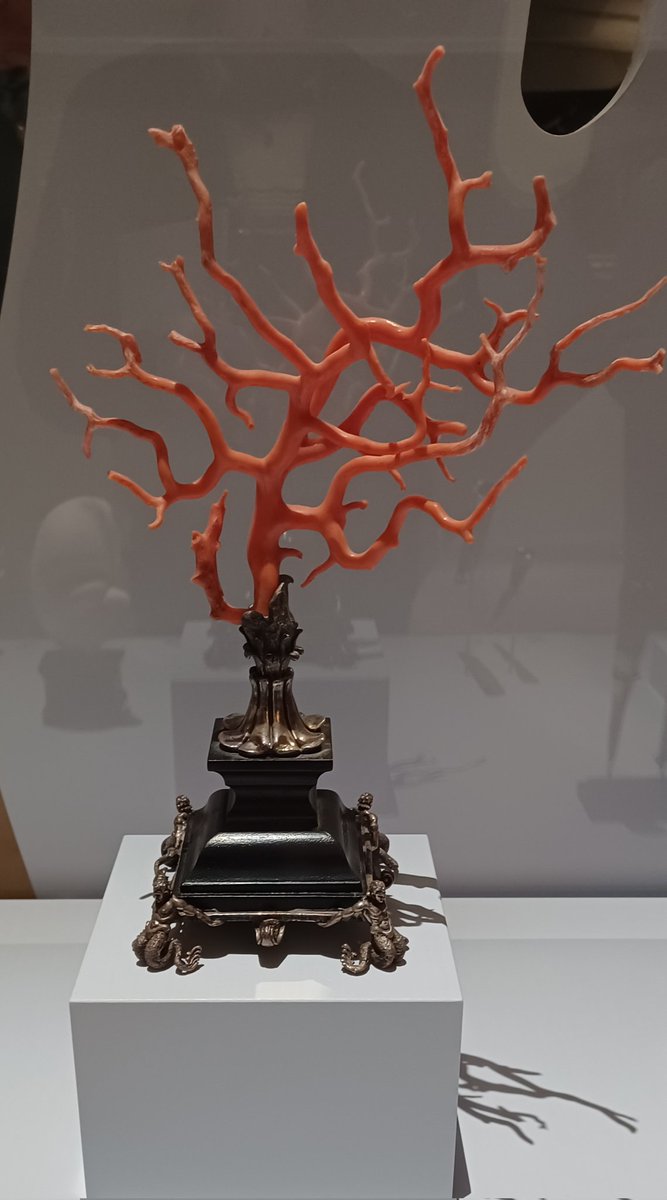 Gert van der Kroef tweet media