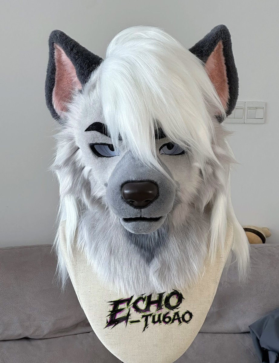 echo_Tu6ao tweet media