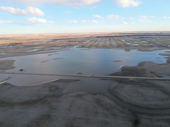 Drainage Contractor tweet media