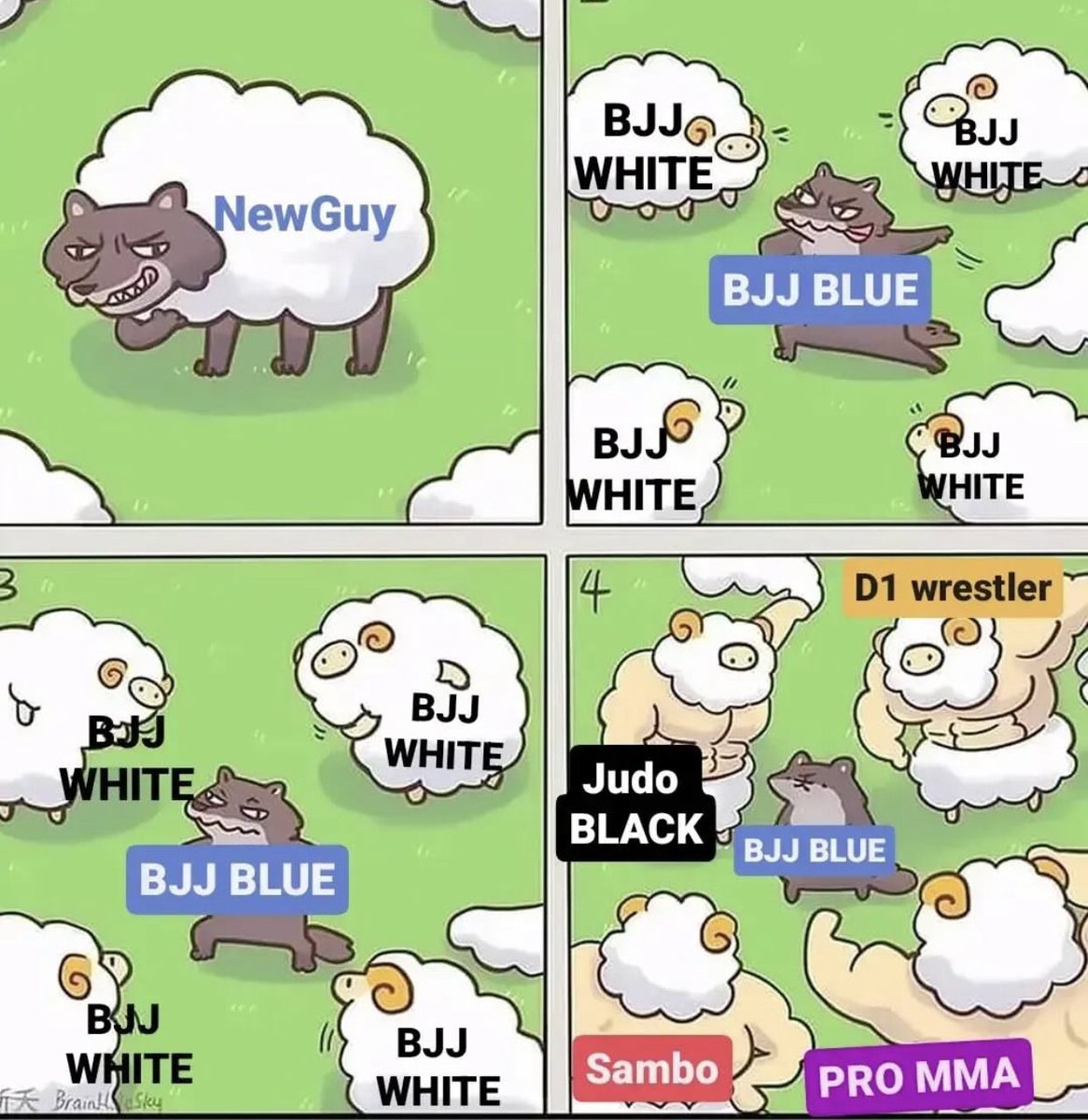 BJJotter (@jiujitsuotter) on Twitter photo 