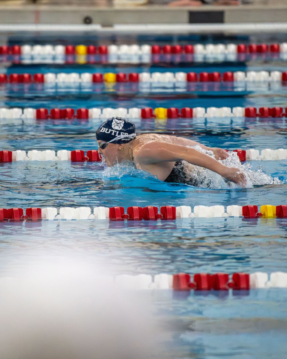 Butler Swimming tweet media