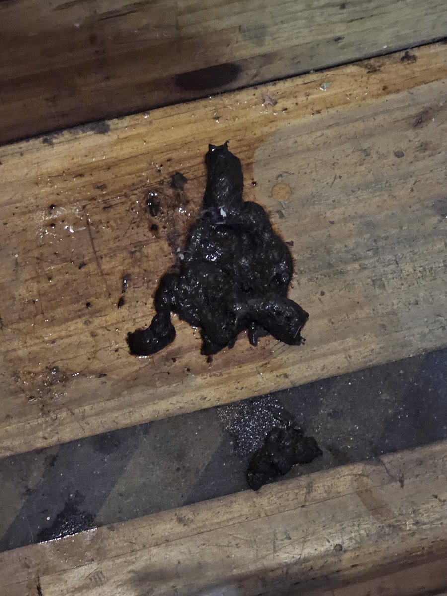 Las encontré ayer en la tarde haciendo ruta de alimento, la pequeña no esta bien, necesitamos hacerle test de parvovirus, la tengo desde anoche, no quiere comer🥺por favor estoy sin recursos para poder hacerlo, les pido ayuda💔
Solange Palacios
Banco estado
Cuenta rut
17376209-7