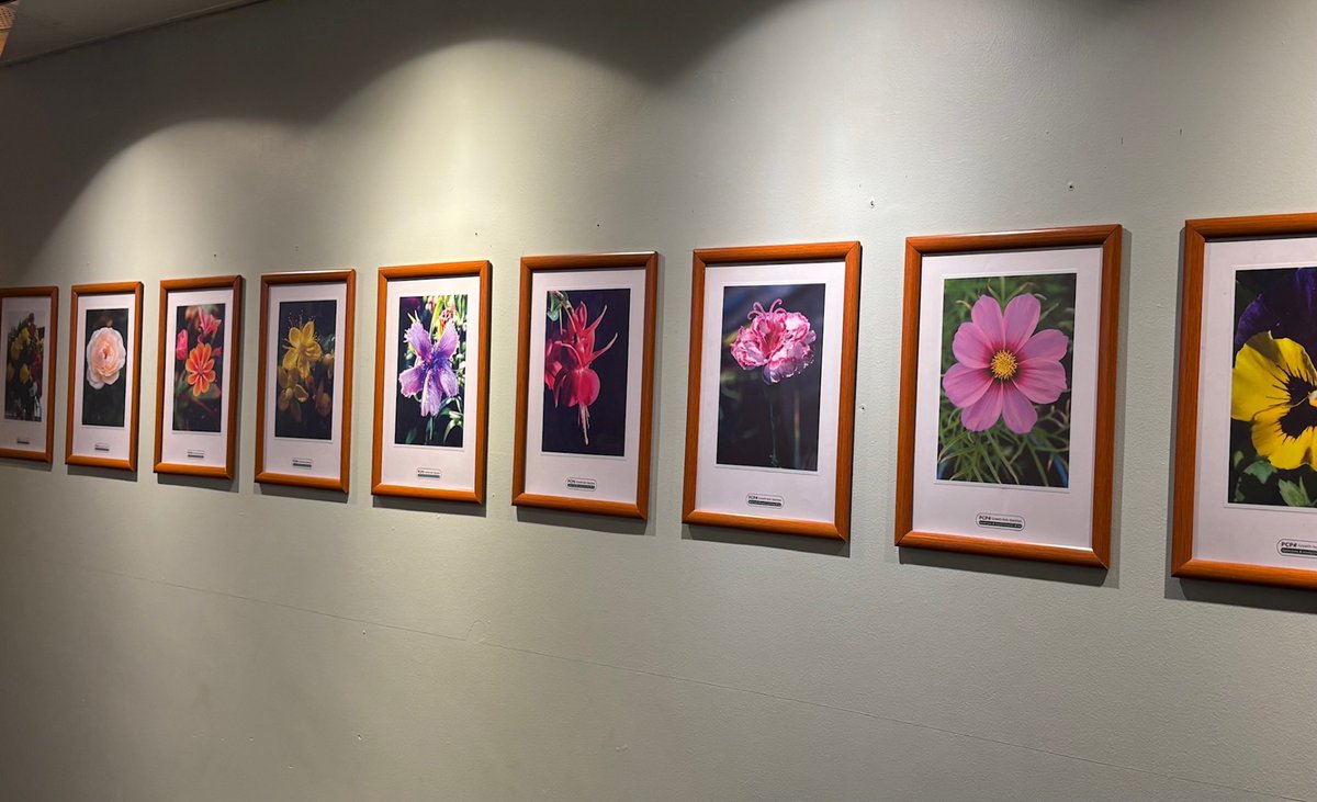 Lea, Bino and Vicky from the SCWC Team enjoyed visiting the @pioneeringcare Growth Hub Stockton photo showcase at The Arc Stockton.

The vibrant flower photos were stunning. 

It’s open until Friday 13th, so pop downstairs at The Arc and take a look! 🌸✨
