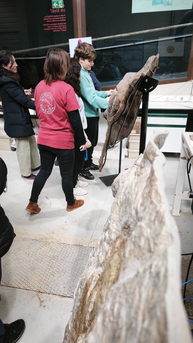 Dinópolis Teruel tweet media